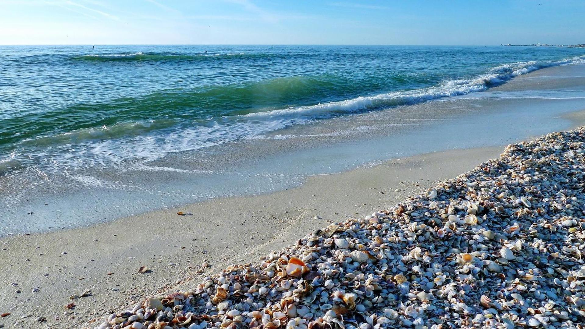Sand Castle1 804 Clearwater Beach Extérieur photo